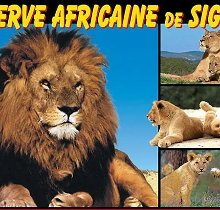 Le Petit Brigantin * Gruissan